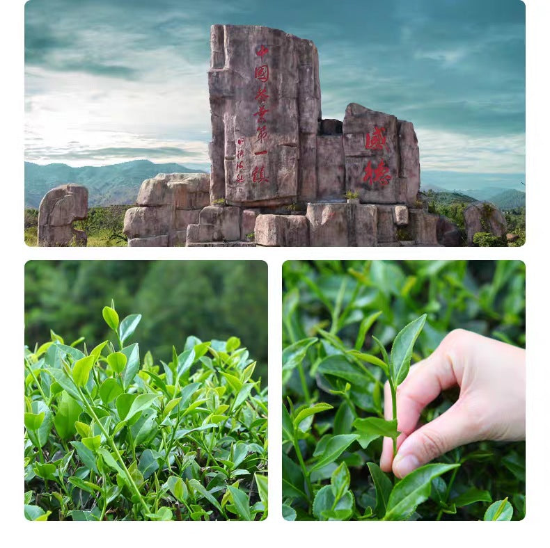 Premium Anxi Tieguanyin Tea Qingxiang Traditional Flavor Flowery Oolong Tea Green Tea 500g(62 Small bags) Natural Chinese Green Tea 安溪产铁观音茶叶清香型传统味手工花香乌龙茶青茶500克