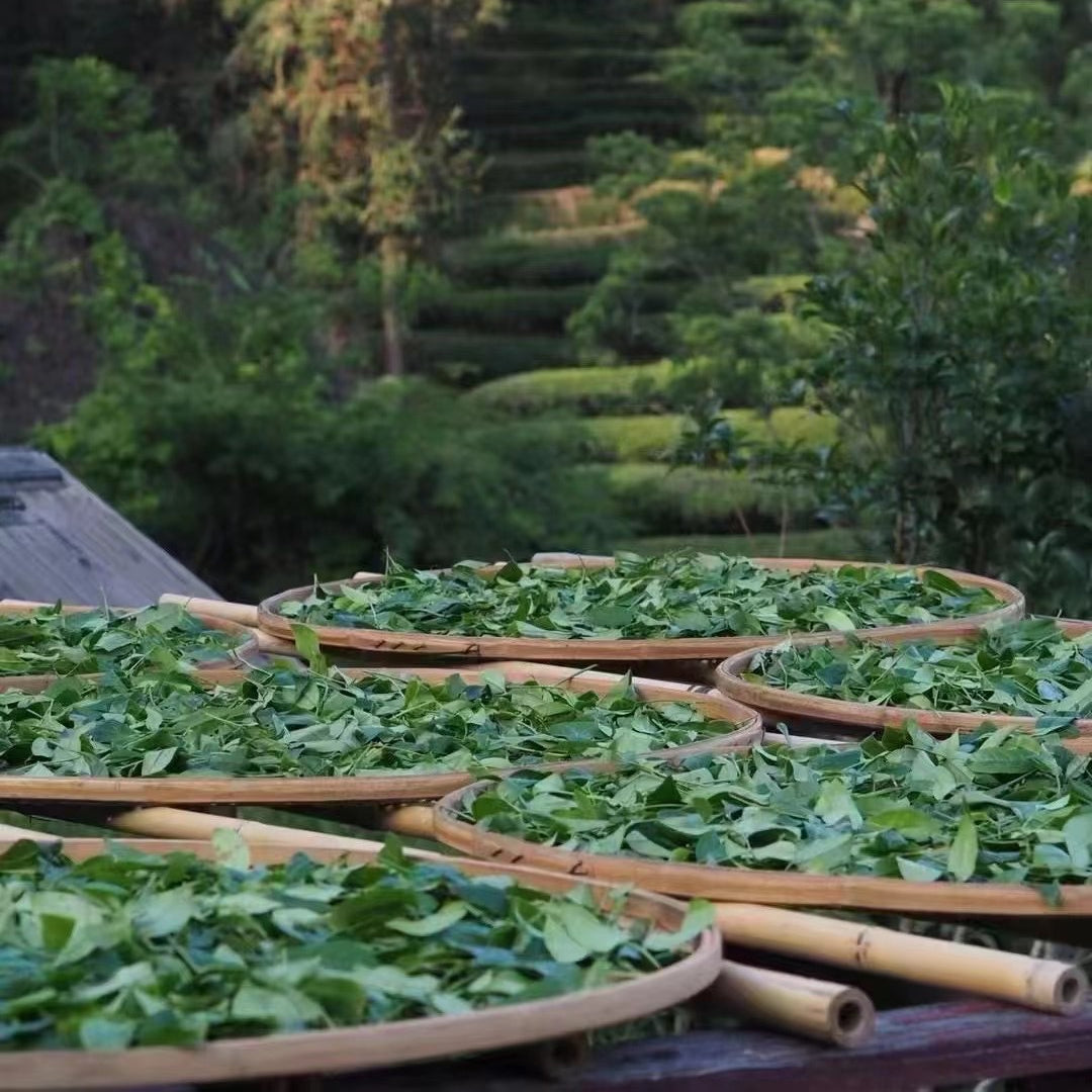 Natural Chinese Tieguanyin Tea Gift Box 500g High Mountain Tea Gift Set Oolong Tea Green Tea 铁观音新茶礼盒装500克高山茶铁观音