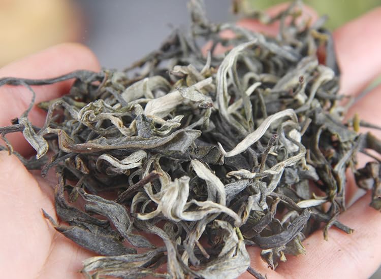 Natural and Additive-free Spring Tea Lincang Centennial Dachaoshan Ancient Tree Tea Yunnan Puerh Tea Raw Tea Loose Tea 500g Green Tea 春茶临沧百年大朝山古树茶云南普洱茶生茶散装500g