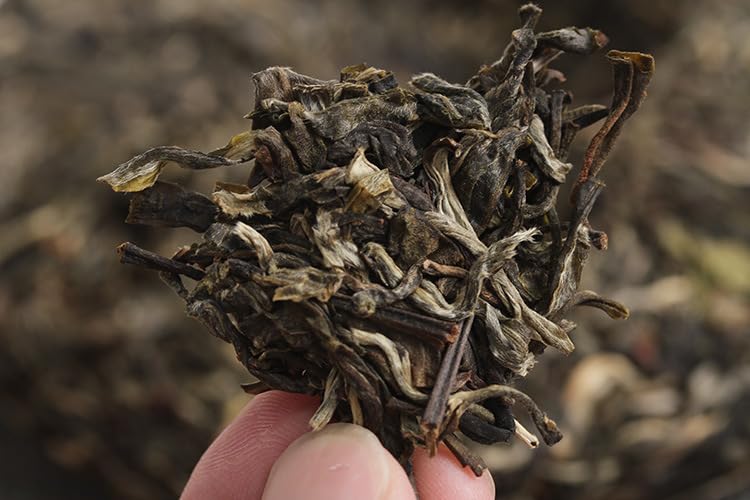 Yunnan Natural and Additive-free Puerh Tea Banzhang Yinhao Big Tree Old Tree Puerh Raw Cake 357g Qizi Cake Tea Chinese Green Tea 云南普洱茶 班章银毫大树老树普洱生饼 357克七子饼