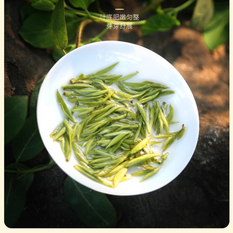 Pre-ming Biluo Tea Premium High Mountain Yunwu Mao Jian Green Tea Ganlu Tender Buds Mao Jian明前新茶碧螺春高山云雾毛尖绿茶甘露嫩芽毛尖礼盒装500g