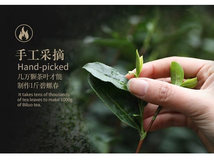 Premium Mingqian Biluo Tea 500g Green Tea Buds Strongly Flavoured Aroma Strong Sweet and Refreshing Biluochun 明前碧螺春新茶新茶绿茶嫩芽浓香型