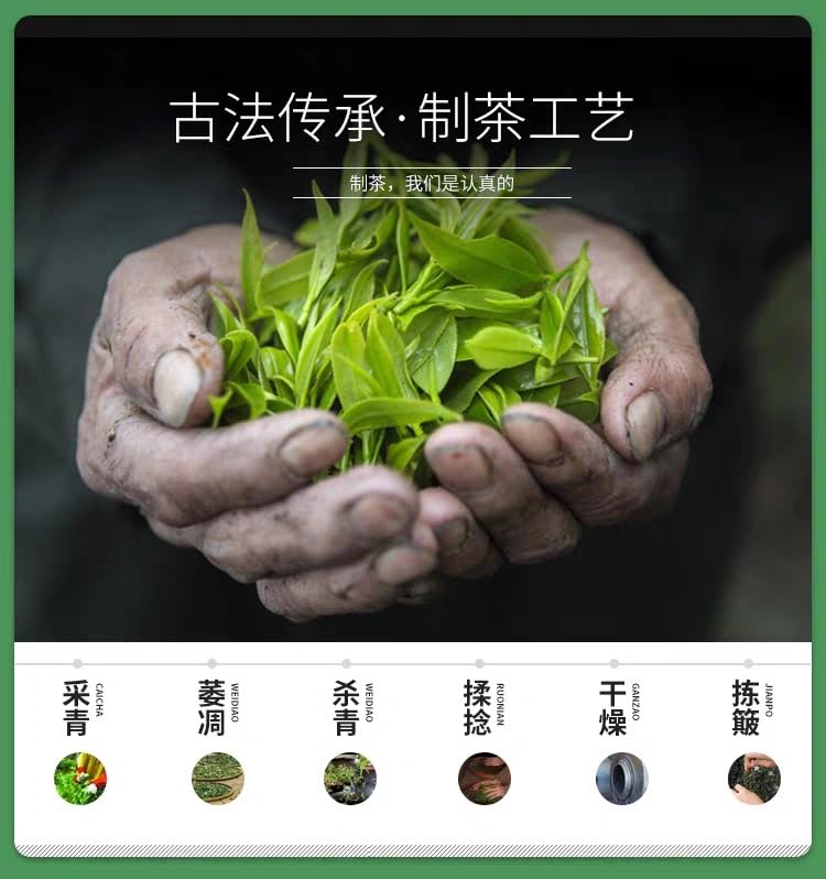 Pre-ming Biluo Tea Premium High Mountain Yunwu Mao Jian Green Tea Ganlu Tender Buds Mao Jian明前新茶碧螺春高山云雾毛尖绿茶甘露嫩芽毛尖礼盒装500g