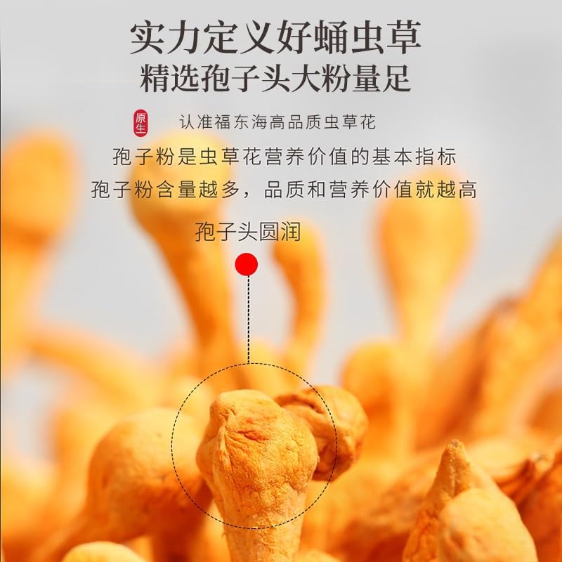 Natural Green Food Without Additives 250g CORDYCEPS MUSHROOM, Herbal Tea, Chinease Herbal, Dryness Up To 99% or More 福东海虫草花250g 蛹虫草北虫草孢子头金虫草