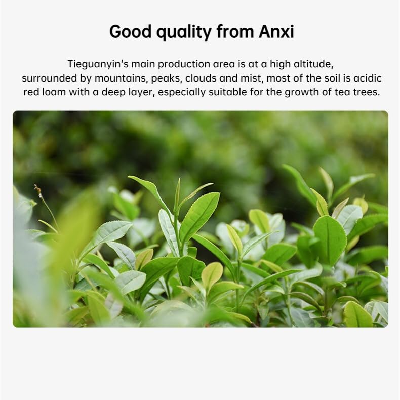 Natural and additive-free Anxi Origin Tieguanyin Tea 1725 Oolong Tea Orchid Fragrance 7.5g*60 Small bags 安溪原产地铁观音茶叶1725乌龙茶兰花香