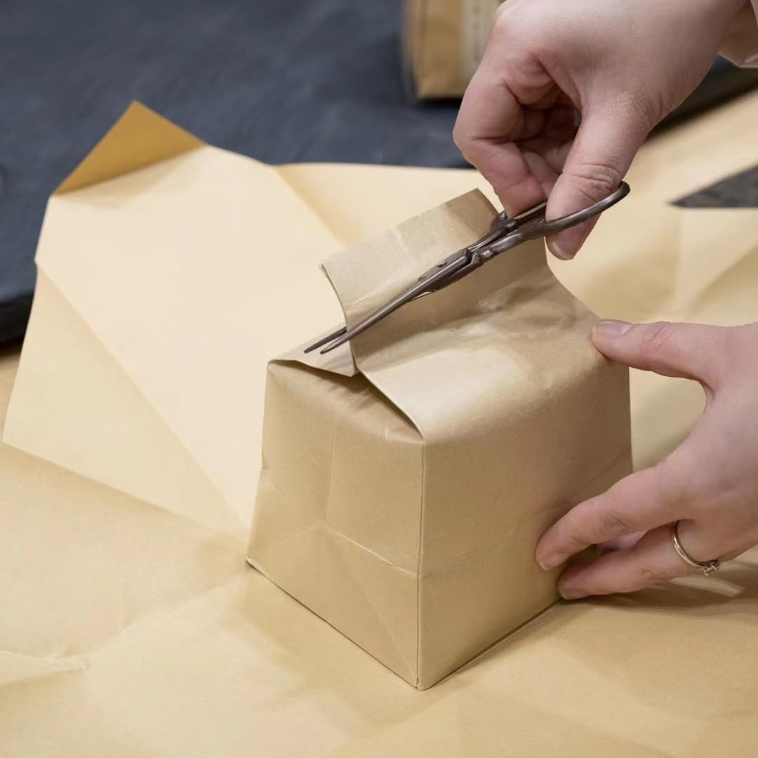 Premium Queshe Green Tea Pre-ming Buds Spring Tea High Mountain Bamboo Leaf Single Bud Mao Feng Paper Bag Loose Tea 500g 新茶叶雀舌绿茶明前嫩芽春茶高山竹叶毛尖单芽毛峰纸包散茶500克