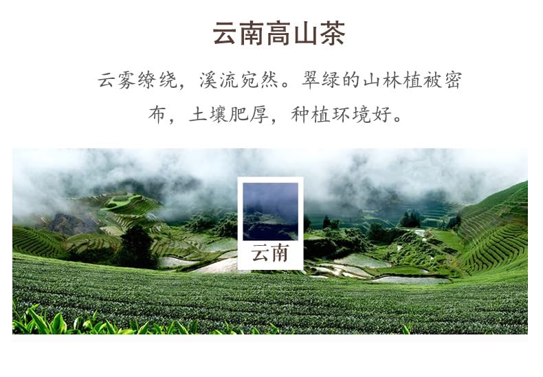 Yunnan Premium Alpine Yunwu Small Fragrant Hao Green Tea 500g Chestnut Fragrance Biluochun Strong Fragrance Loose Green Tea 新茶云南高山云雾小香毫绿茶 板栗香碧螺春浓香耐泡散装绿茶