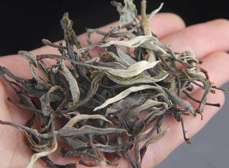 Natural Chinese Tea 100 Years Big Tree Daxueshan Puerh Raw Tea Menghu Daxueshan Spring Big Tree Tea 500g Premium Loose Tea 百年大树大雪山普洱生茶勐库大雪山头春大树茶散装茶500g