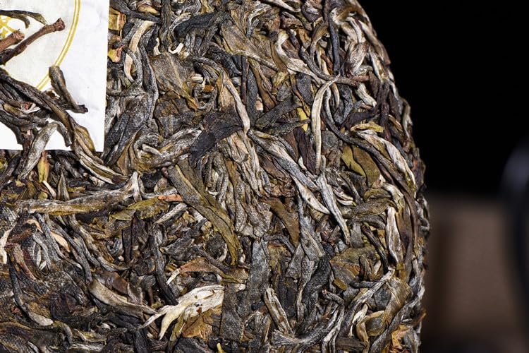 Natural and additive-free Puerh Tea Spring Raw Tea 357g High Mountain Ancient Tree Tea Menghai Ppuerh tea organic loose leaf 普洱茶春生茶 高山古树 357g巴达大树勐海普洱