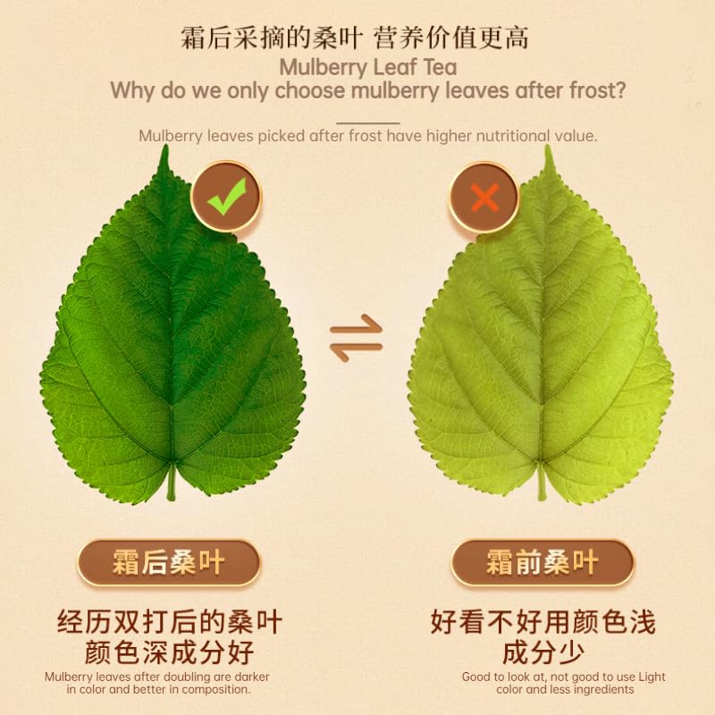 Tong Ren Tang Premium Mulberry Leaf Tea, 100g / 3.52oz Herbal Tea, Natural Sweet Mulberry Leaf Tea After Frost Natural Dry Herbs 南京同仁堂桑叶茶100克