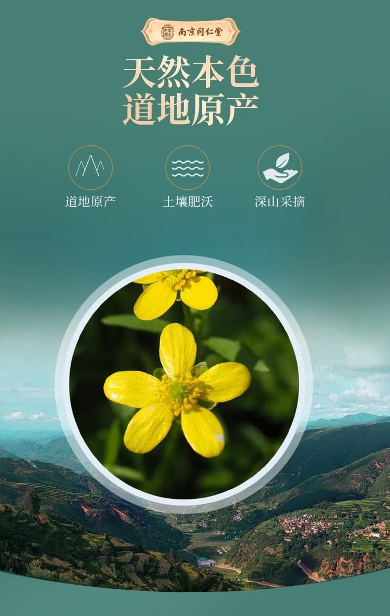 TongRen Tang Cat's Paw Grass Premium Bulk Chinese Herbals 140g (4.93oz) Loose Leaf Tea Herbal Tea 同仁堂猫爪草中药材