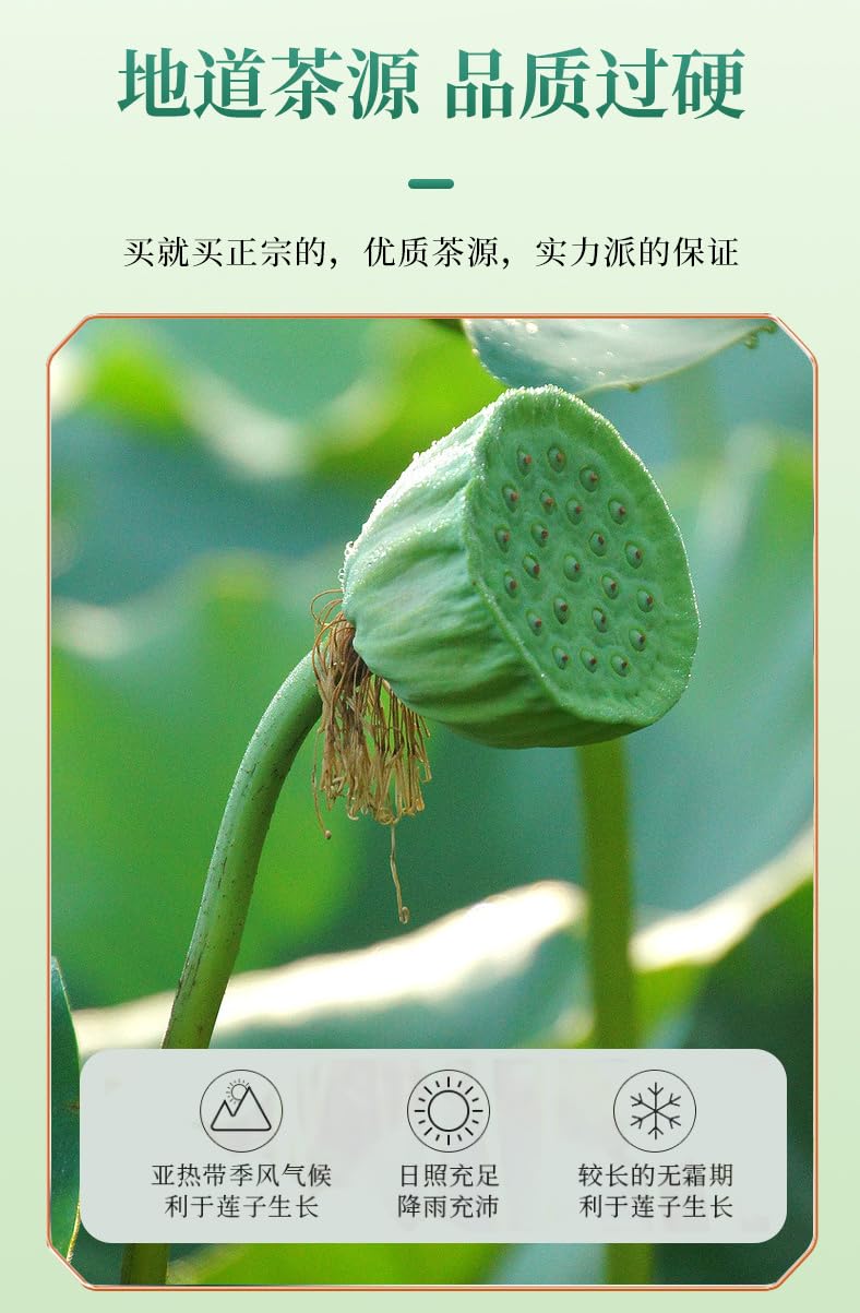 Natural Dried Lotus Seeds Core (Green Part Inside) Sugar-free, 220g/7.76oz 150g Chinese Herbal Tea, Refreshing and Sweet 南京同仁堂莲子芯清新淡香莲子芯茶220克