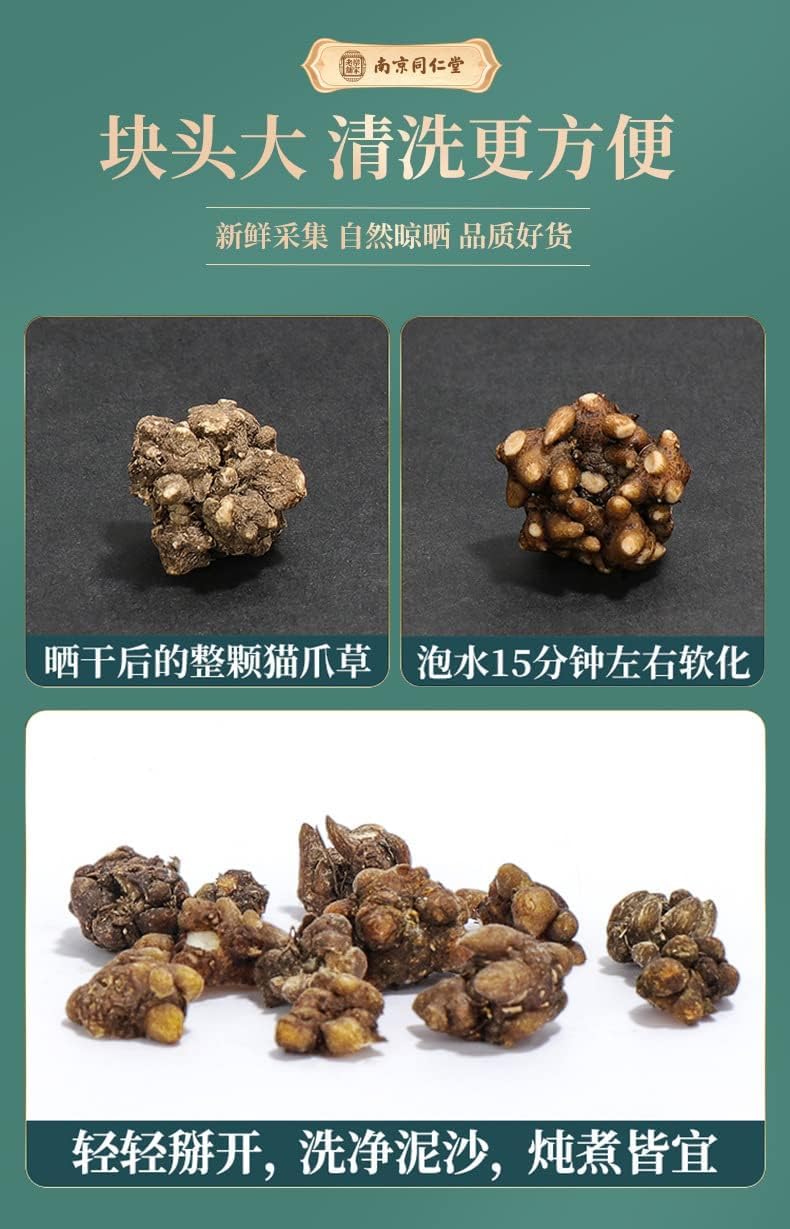 TongRen Tang Cat's Paw Grass Premium Bulk Chinese Herbals 140g (4.93oz) Loose Leaf Tea Herbal Tea 同仁堂猫爪草中药材