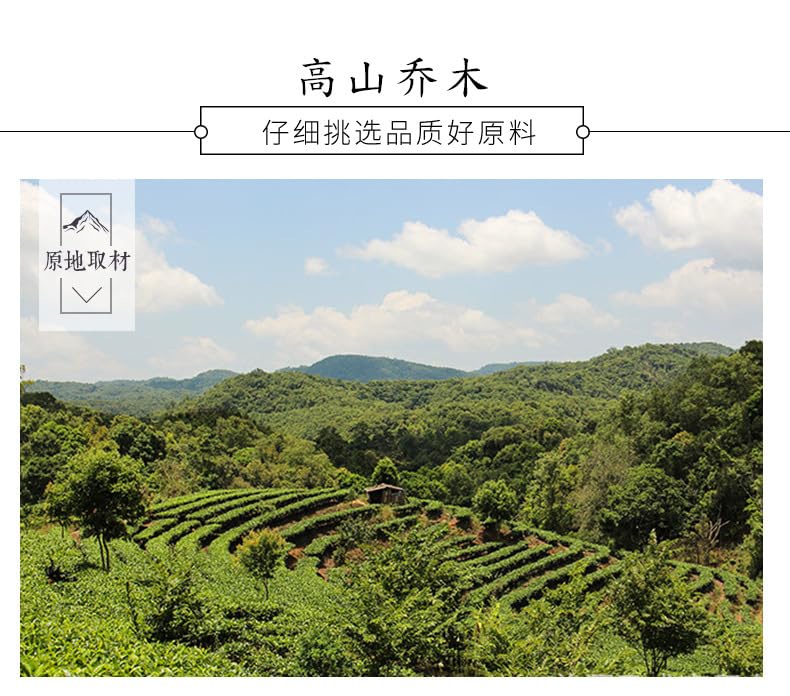 Premium Spring Tea Yunnan Green Tea High Fragrance Spring Tea Yunnan High Mountain Yunwu 500g Spring Tip Green Tea 春茶新茶云南银丝绿茶 高香型春茶云南高山云雾春尖绿茶