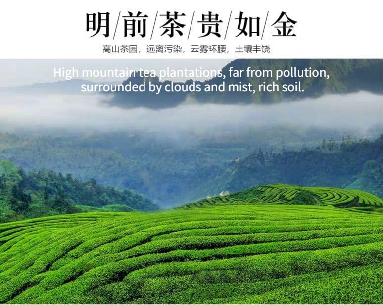 Premium Mingqian Biluo Tea 500g Green Tea Buds Strongly Flavoured Aroma Strong Sweet and Refreshing Biluochun 明前碧螺春新茶新茶绿茶嫩芽浓香型