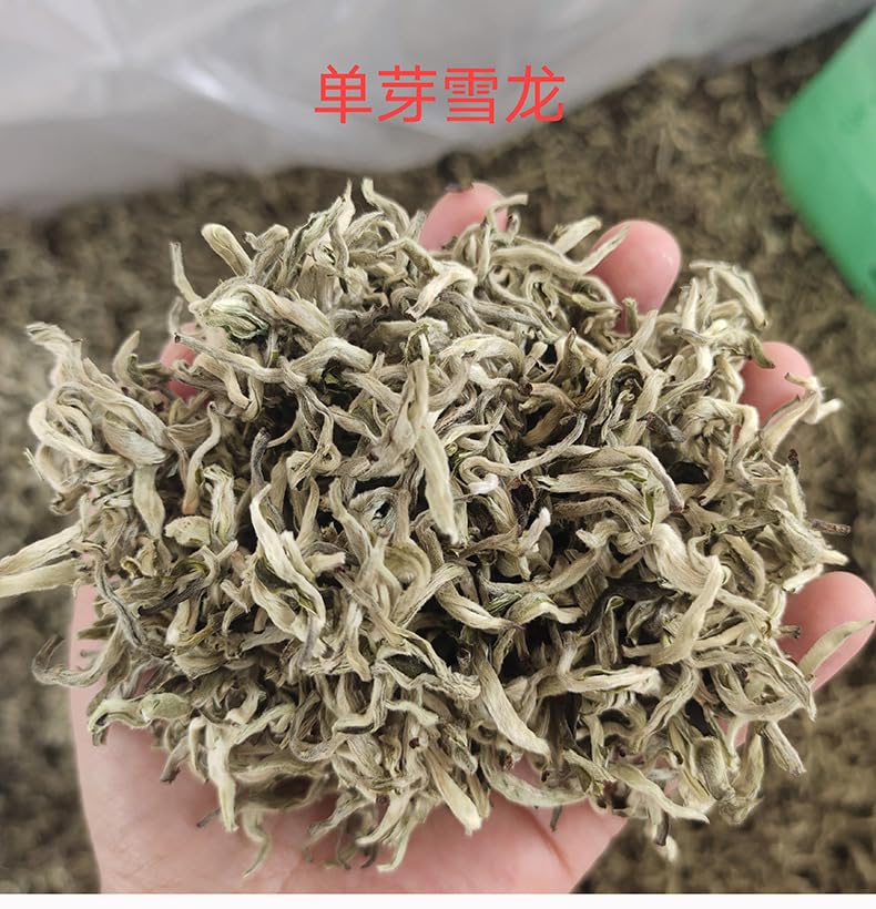 Premium Snow Bud Hundred Spring Tip Green Tea Single Bud Green Tea 500g Fresh Aroma Sweet Green Tea Loose Tea 雪芽百号春尖绿茶单芽雪龙绿茶