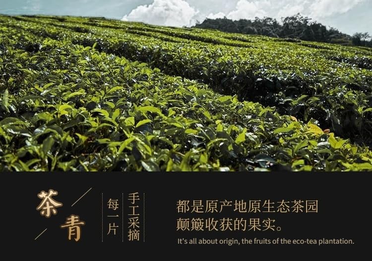 Anxi Tieguanyin tea origin clear fragrance type Oolong tea 1725 flower fragrance high mountain tea 512g (8g*64 small bag) 安溪产铁观音茶叶原产地新茶清香型乌龙茶1725花香高山茶兰花韵