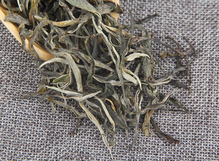 Natural Chinese Tea 100 Years Big Tree Daxueshan Puerh Raw Tea Menghu Daxueshan Spring Big Tree Tea 500g Premium Loose Tea 百年大树大雪山普洱生茶勐库大雪山头春大树茶散装茶500g
