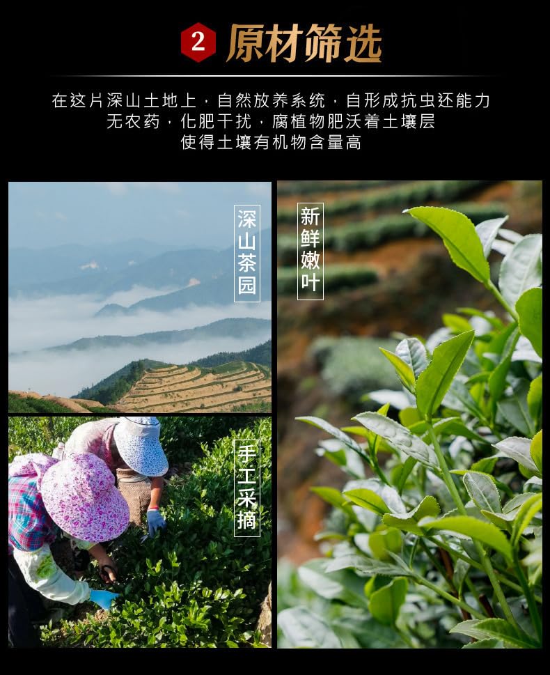 Natural and additive-free Anxi Origin Tieguanyin Tea 1725 Oolong Tea Orchid Fragrance 7.5g*60 Small bags 安溪原产地铁观音茶叶1725乌龙茶兰花香