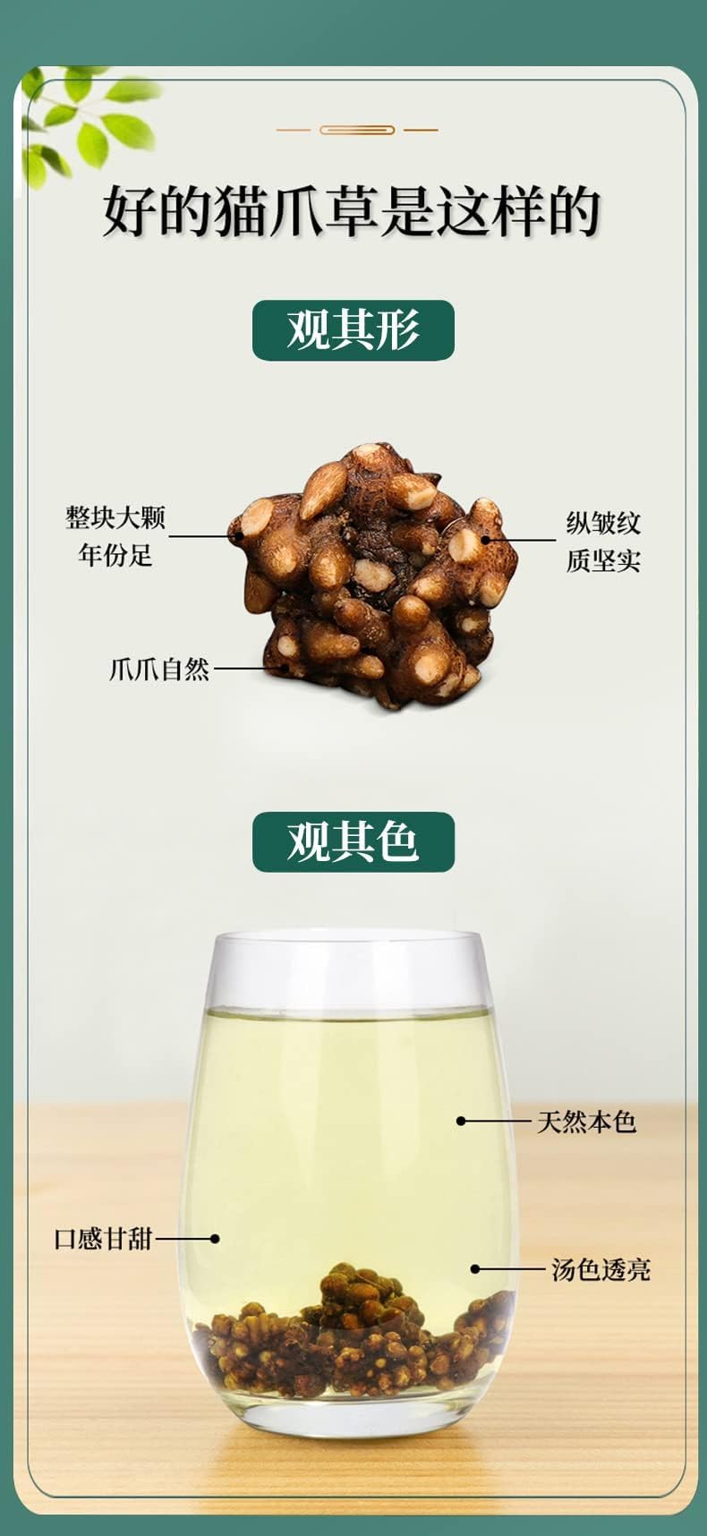 TongRen Tang Cat's Paw Grass Premium Bulk Chinese Herbals 140g (4.93oz) Loose Leaf Tea Herbal Tea 同仁堂猫爪草中药材