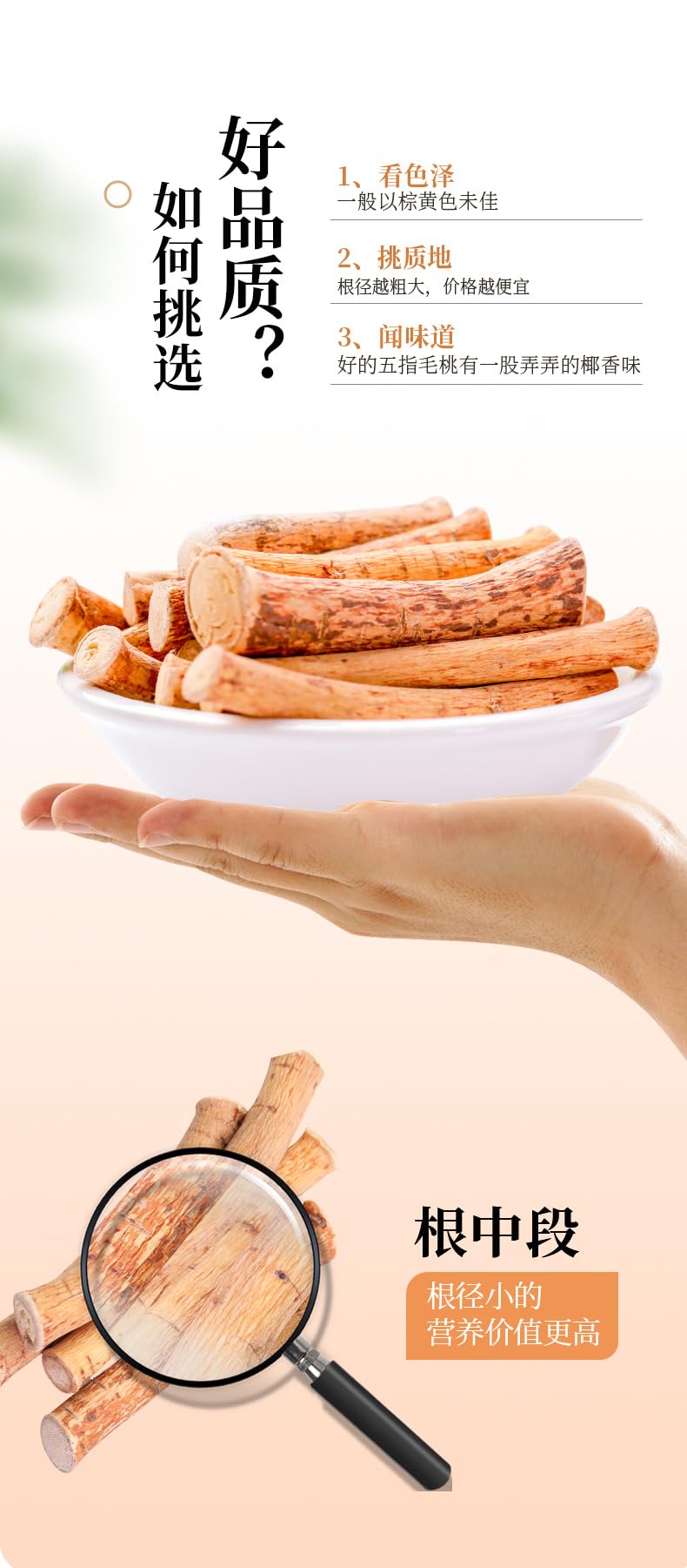 Natural Green Food Without Additives Herbal 260g Wu Zhi Mao tao Root Raw Material for Soup Nutritious and Tonic, Herbal tea 五指毛桃根煲汤原材料可五爪龙根汤料包养生滋补260克