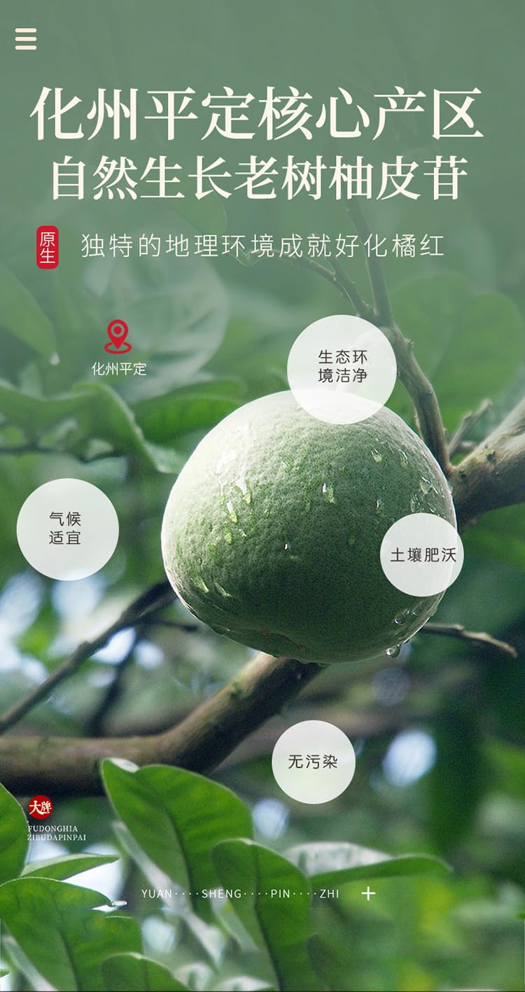 Natural Without Additives Tangerine Herbal Tea 200g Aged Pummelo peel, Round Tangerine, 15 years of natural aging and orange flavour 陈年化橘红圆橘红果200克