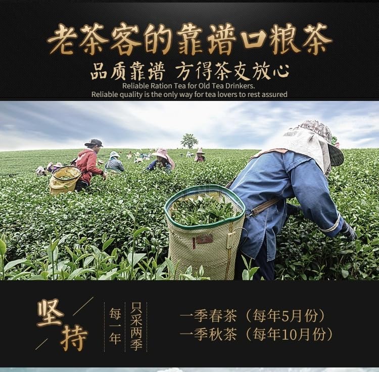 Natural Chinese Tea Oolong Tea Flavoured Tea Tieguanyin Tea Strip Curl 500g Deliciously Smooth Loose Tea 新茶铁观音清香型兰花香500克特产散装茶叶