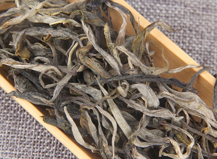 Lincang Mangfei Premium Pu-erh Tea Loose Tea 500g Yunnan Raw Puerh Tea Raw Tea Grade Old Tree Early Spring Tea Natural Chinese Tea 临沧忙肺普洱生茶散茶500g云南特生普洱茶生茶级老树早春茶