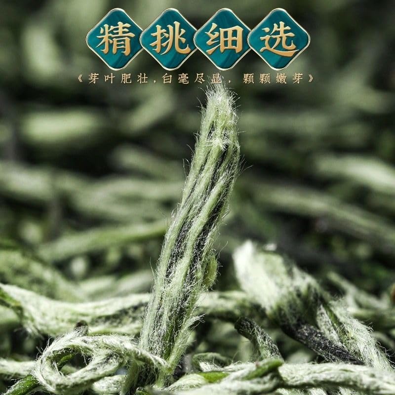 Natural Chinese Tea Mingqian Mao Jian Tea High Mountain Tender Buds Strong Aroma Steeping Type Green Tea Canister Gift Box 250g 天然中国茶 明前毛尖 高山嫩芽 香气浓郁 蒸压型绿茶 罐装礼盒 250g