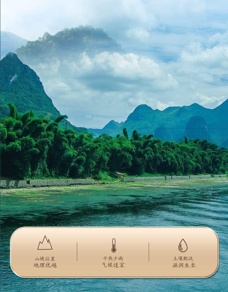 Chinese Herbal Tea Dried 50g (1.76oz) Natural Healthy Polygonatum Odoratum Yuzhu Herbals Sulfur Free Dry Canned 南京同仁堂玉竹