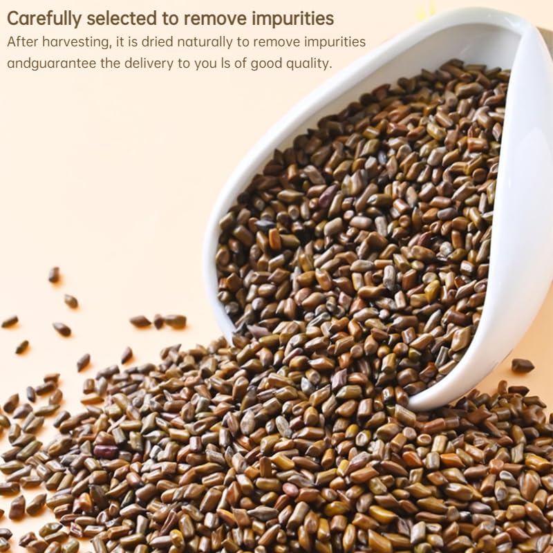 Cassia Tea Brewing Tea, Chinese Herbal Tea, 200g / 7.05oz Fried Chinese Herbal Cassia Healthy and Delicious Cassia Tea 南京同仁堂决明子200克