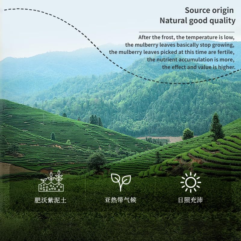 Tong Ren Tang Premium Mulberry Leaf Tea, 100g / 3.52oz Herbal Tea, Natural Sweet Mulberry Leaf Tea After Frost Natural Dry Herbs 南京同仁堂桑叶茶100克