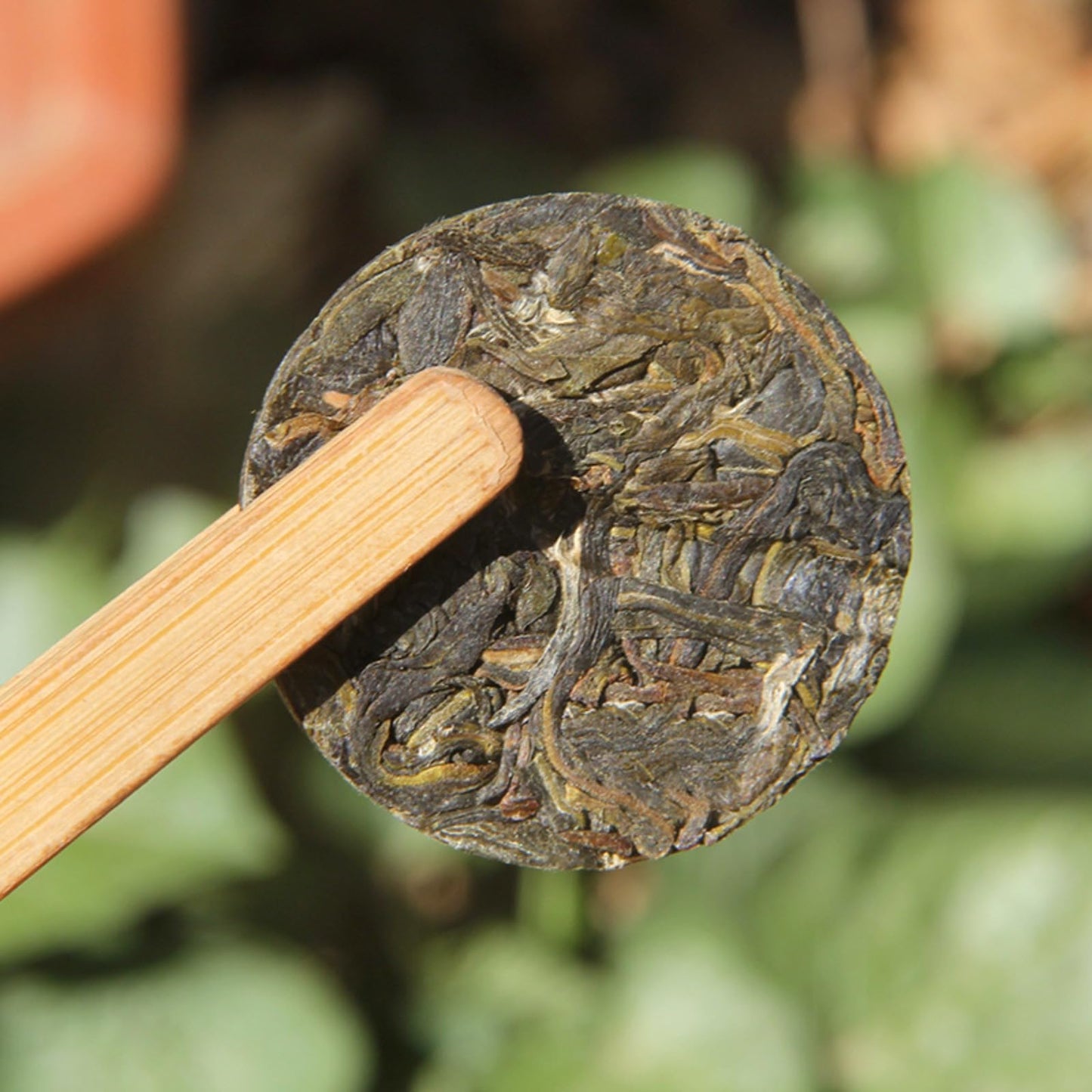 Icelandic Sweet Tea Puerh Tea Bulk Portable Icelandic Good Tea Mini Round Cake 500g Each Piece of Independent Small Package 冰岛甜茶普洱茶叶小时代小饼散装便携冰岛好茶迷你小圆饼500g