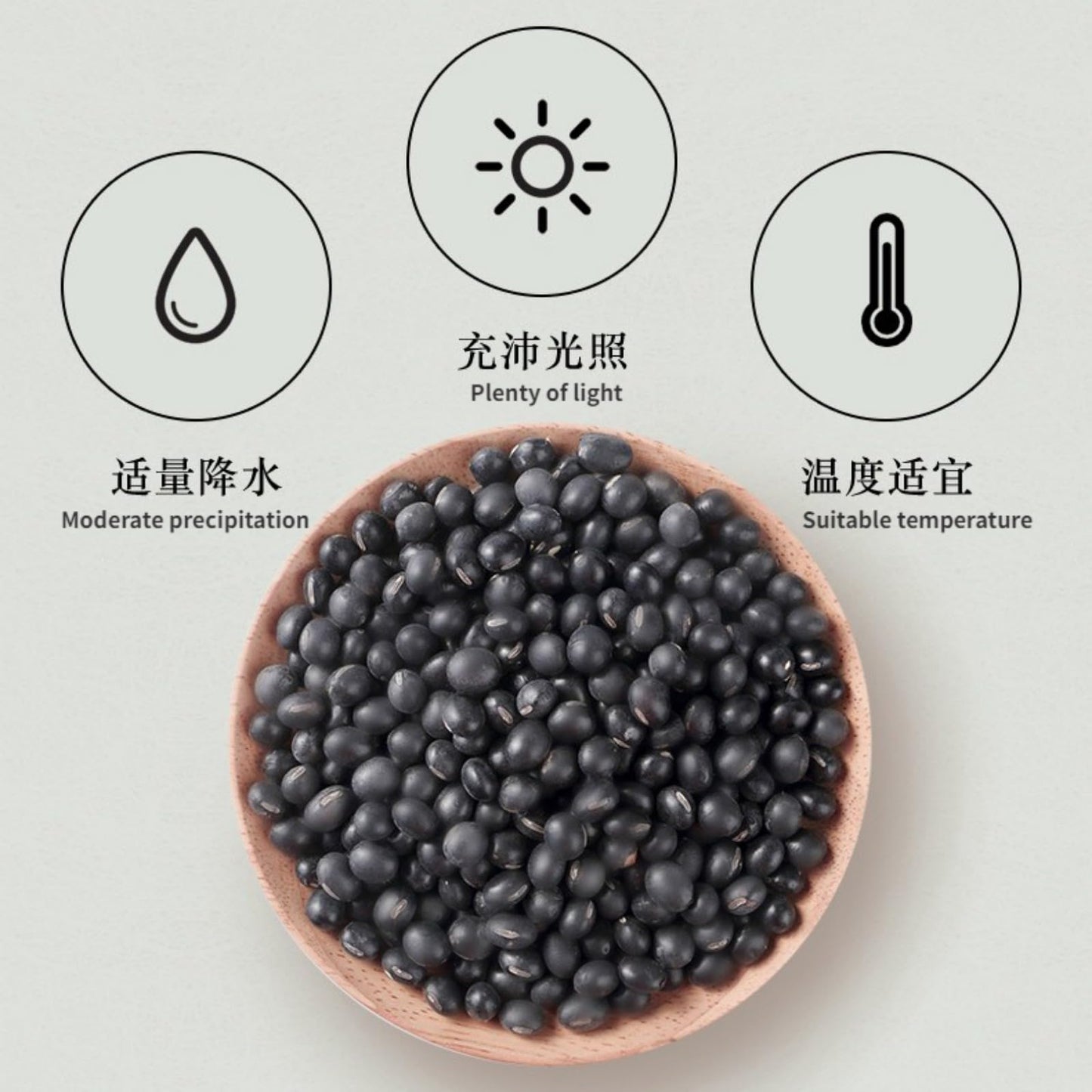 Tongrentang Natural Black Bean Low Temperature Roasted, 210g Canned Cooked Black Beans, Low Fat, Gluten Free 南京同仁堂黑豆谷杂粮210克