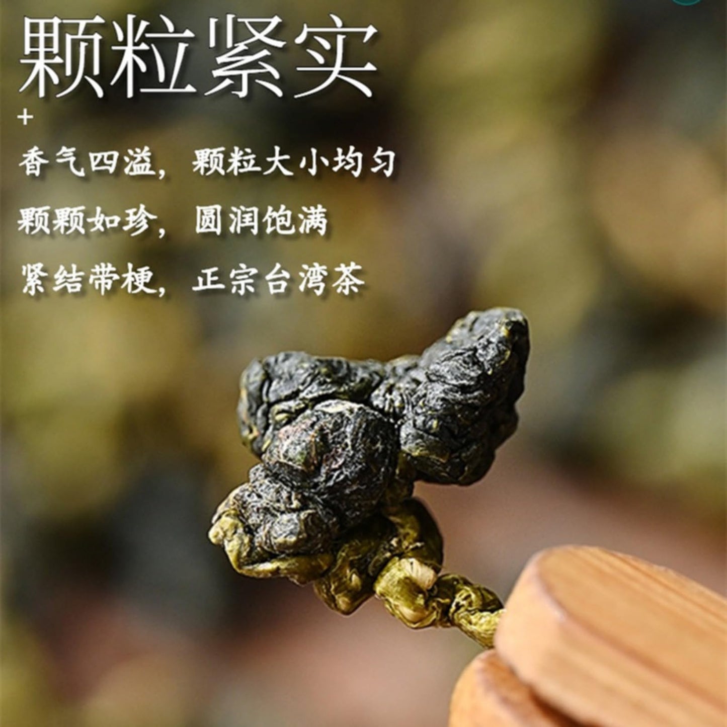 Premiu Taiwan High Mountain Tea Oolong Tea Intense Spring Oolong Tea 500g (250g*2 Bags) Natural GreenTea 台式高山茶奶香乌龙茶浓香型春季金萱冻顶乌龙茶新茶500克茶叶