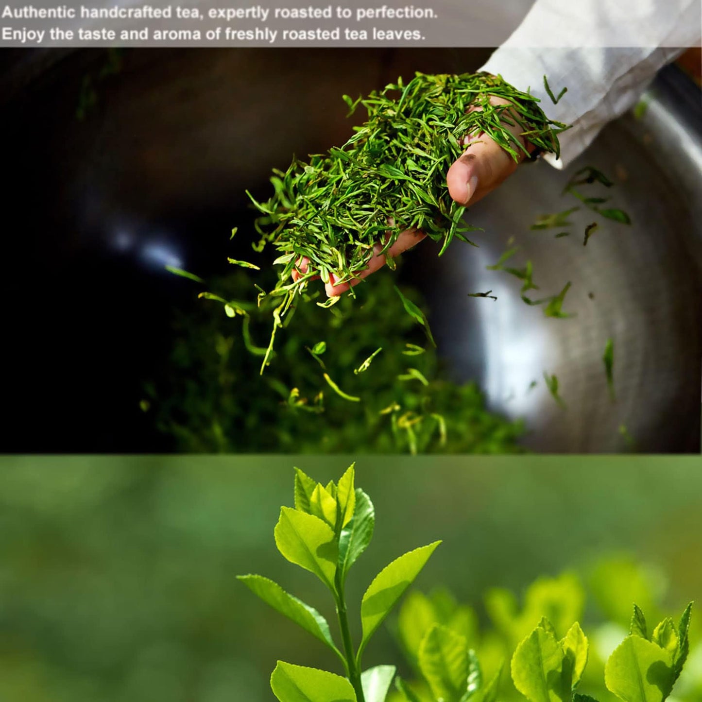 Yunnan Natural and additive-free Puerh Raw Tea Cake Yiwu First Spring Raw Tea 357g Qizi Cake Raw Puerh Tea Deliciously Smooth Puerh Tea云南天然无添加普洱生茶饼 易武头春生茶 357g