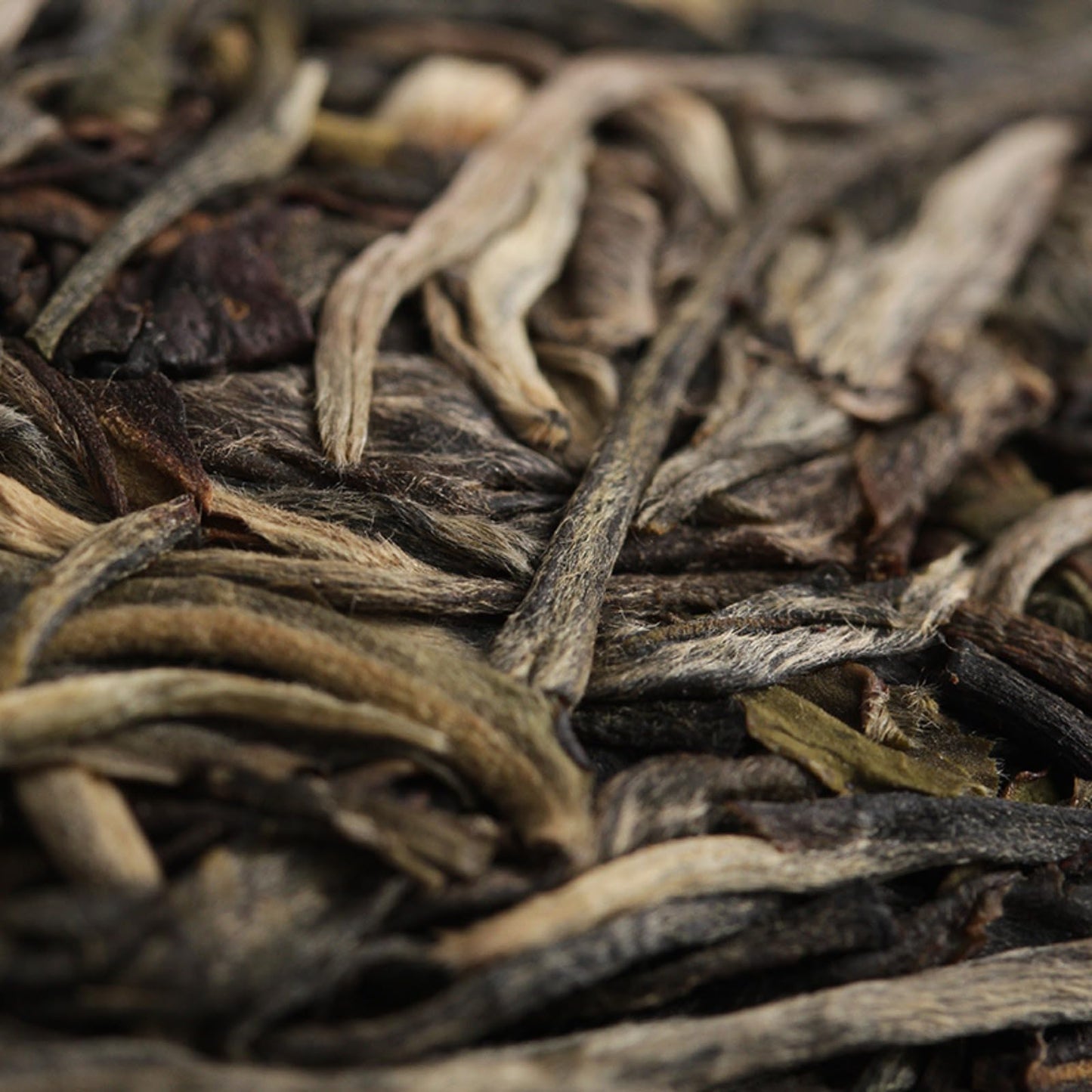 Yunnan Natural and Additive-free Puerh Tea Banzhang Yinhao Big Tree Old Tree Puerh Raw Cake 357g Qizi Cake Tea Chinese Green Tea 云南普洱茶 班章银毫大树老树普洱生饼 357克七子饼