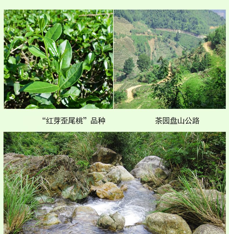 Chinese 10 Famous Tea 10 Small Cans Gift Box Black Tea, Green Tea, Oolong Tea, Puerh Tea and More 10 Kinds of Tea Combination 10小罐礼盒装红茶绿茶乌龙茶