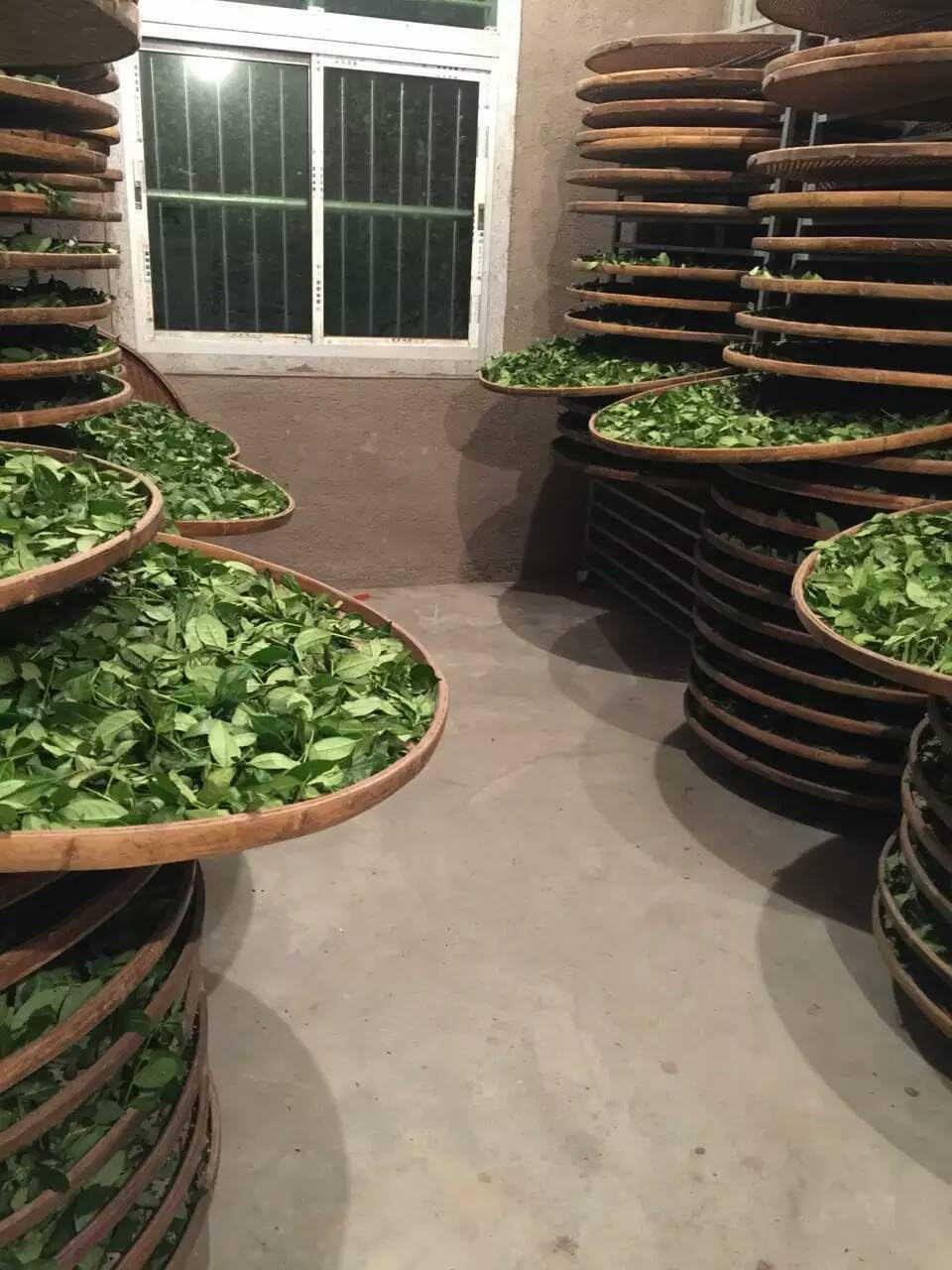 From Fujian, China Anxi Tieguanyin Premium Oolong Tea Strong Fragrance 500g (250g*2) Natural Chinese Green Tea 安溪产铁观音浓香型 新茶热销款臻品乌龙茶兰花香茶味重500克