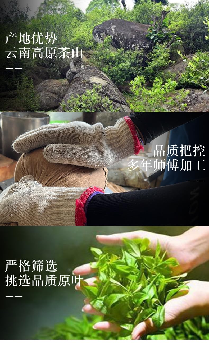 Organic Pu-erh Tea Spring Tea Iceland Ancient Tree Gold Leaf Puerh Tea Raw Tea Cake 357g Yunnan Qizi Cake Tea Natural Chinese Tea 冰岛地界古树黄金叶普洱茶生茶饼