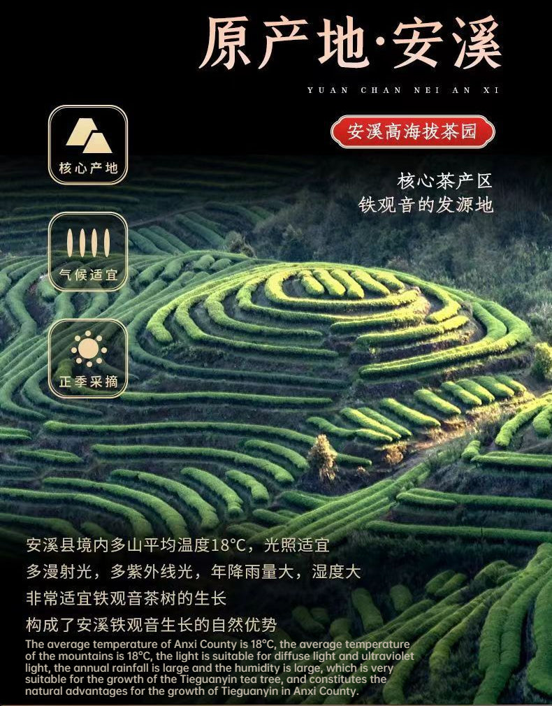 Anxi Tieguanyin Oolong Tea Tieguanyin Oolong Tea High Mountain Tea 500g Natural Chinese Green Tea 新茶安溪产铁观音清香型新茶铁观音乌龙茶高山茶叶