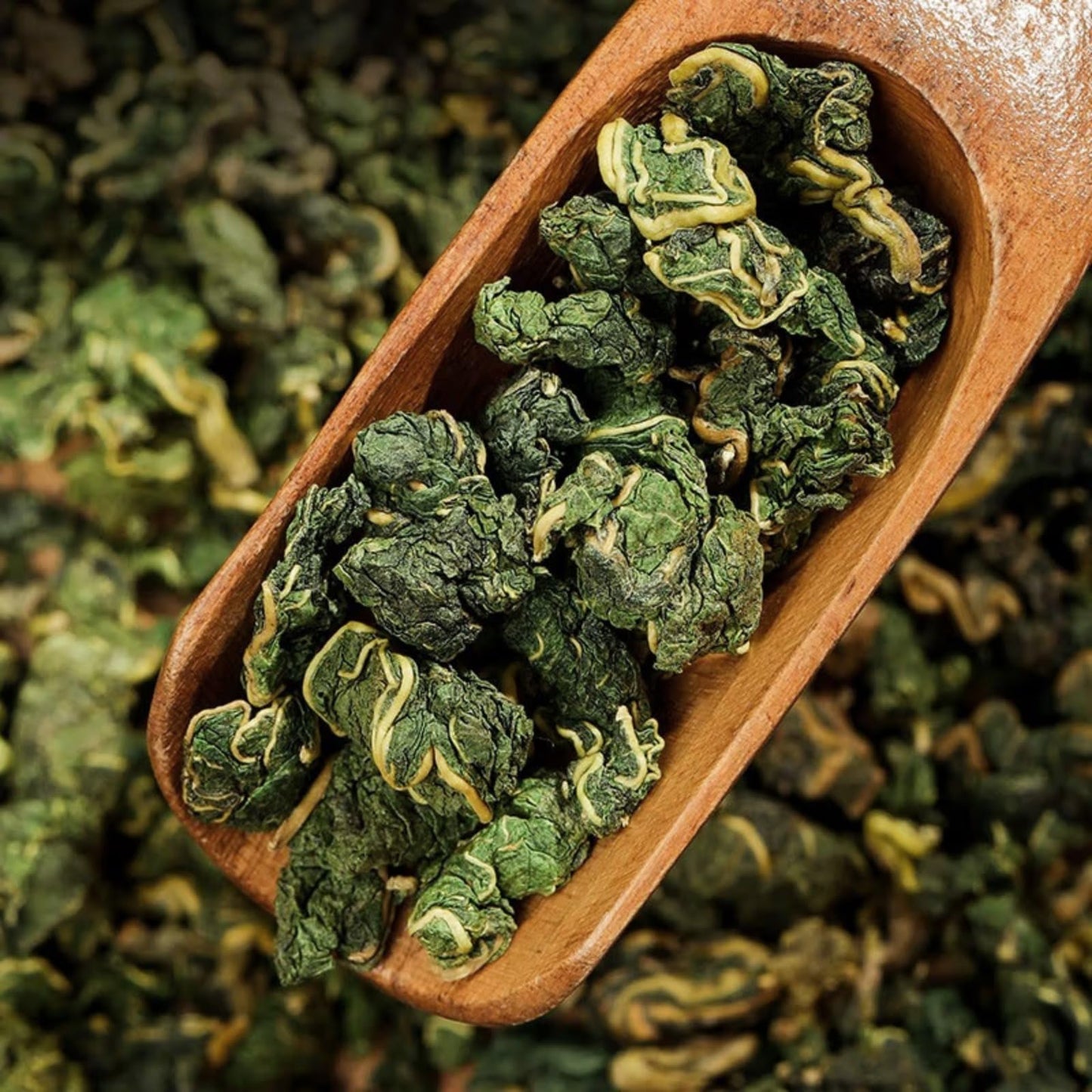 Tong Ren Tang Premium Mulberry Leaf Tea, 100g / 3.52oz Herbal Tea, Natural Sweet Mulberry Leaf Tea After Frost Natural Dry Herbs 南京同仁堂桑叶茶100克