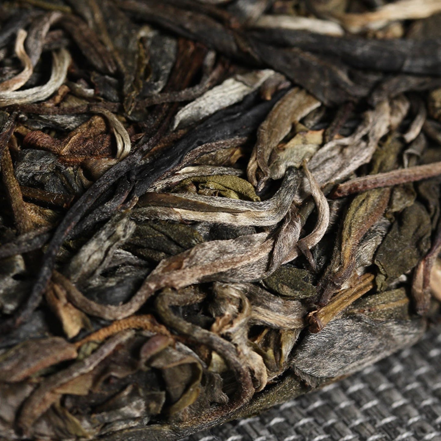 Yunnan Natural and Additive-free Puerh Tea Xigui Desert Mountain Tea Cake Spring Tea 357g Qizi Cake Tea Deliciously Smooth Raw tea 云南普洱茶 昔归荒山 茶饼 春茶 357克七子饼 茶