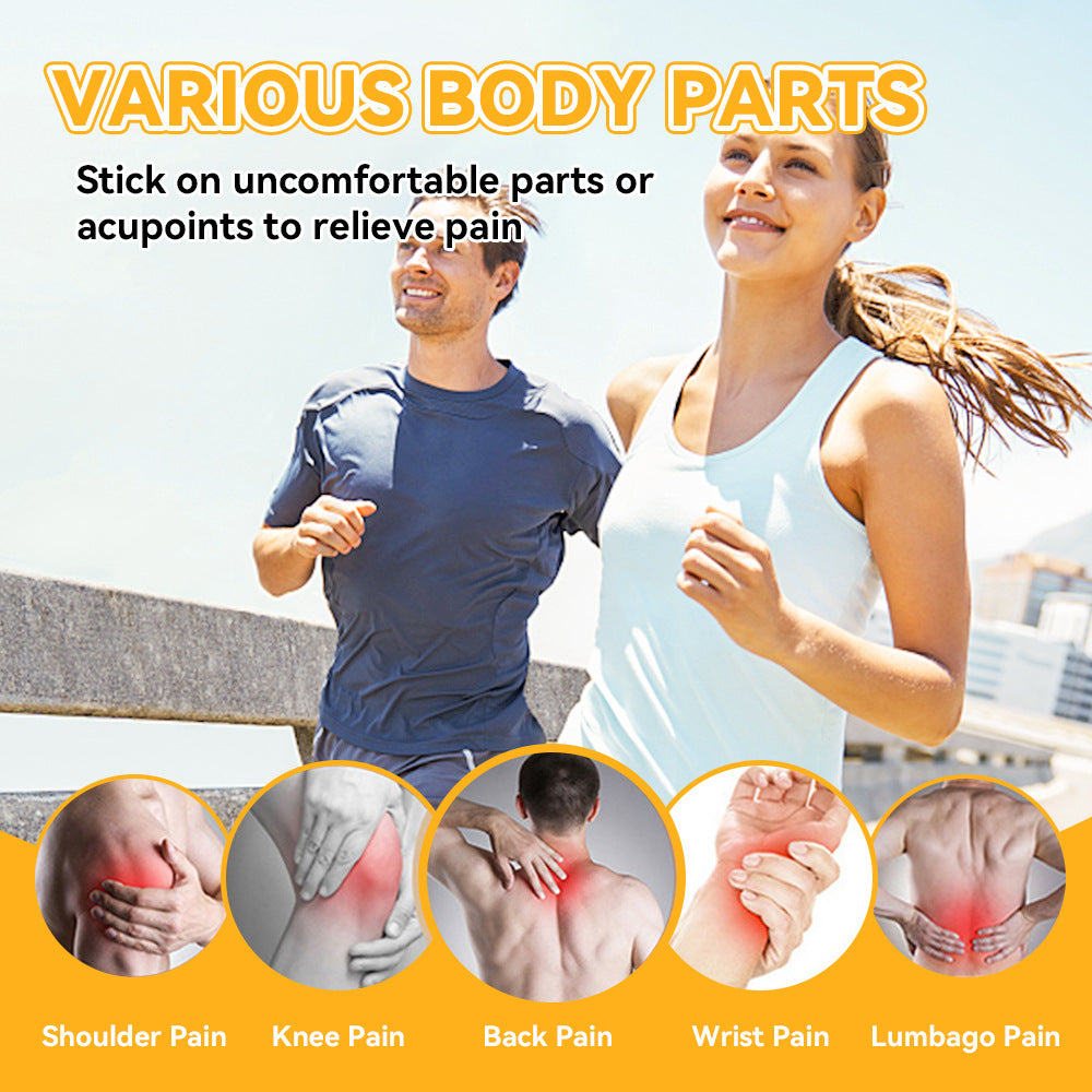 3 Packs, Snake Pain Relief Patch, Arthritis & RheumatoidMuscle & Joint Pain  (8pcs/bag)*3 蛇毒贴肩颈腰腿痛