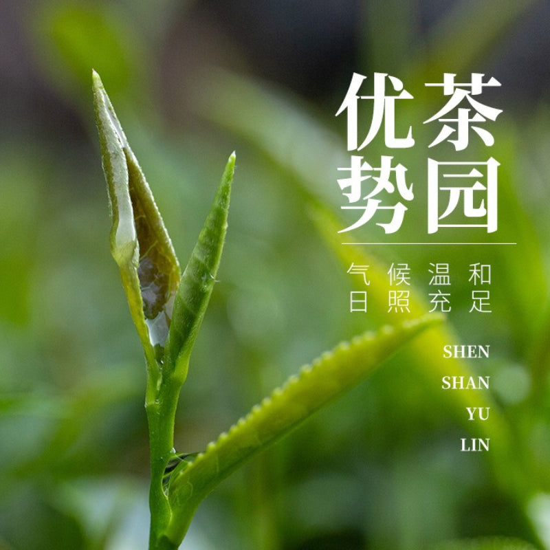 Premium Anxi Tieguanyin Tea Orchid Scent Precision Tea Private Tea Strongly Flavored 500g Mellow and Fresh 安溪产铁观音茶叶新茶兰花香臻品茶私房茶手工制作浓香型500g