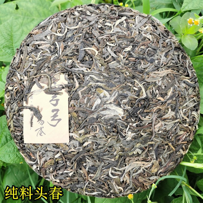 Yiwu Pu'er Raw Tea Bent Bow Ancient Tree Tea 357g First Spring Tall Pole Pu'er Tea Cake