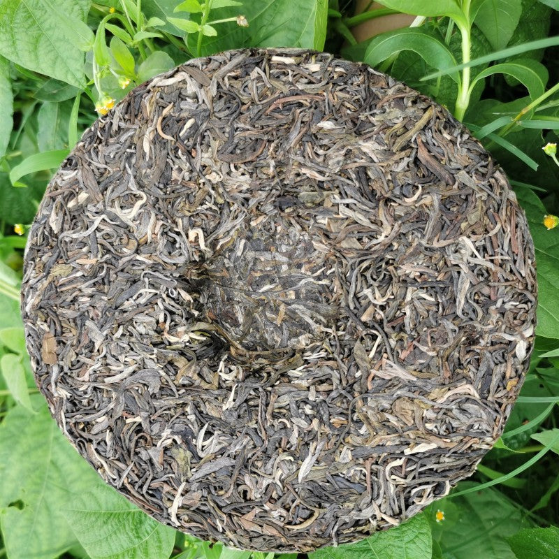 Yiwu Pu'er Raw Tea Bent Bow Ancient Tree Tea 357g First Spring Tall Pole Pu'er Tea Cake