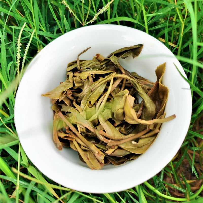 Yiwu Pu'er Raw Tea Bent Bow Ancient Tree Tea 357g First Spring Tall Pole Pu'er Tea Cake