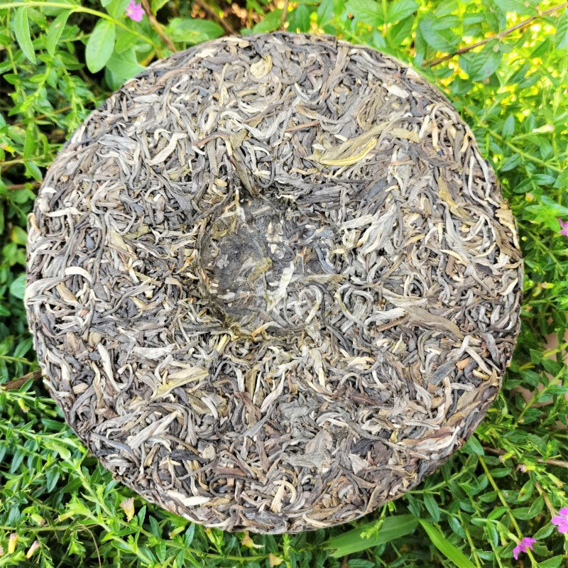 Nannushan Raw Puerh Tea Cake 357g Meng Altitude Ma Pu'er Tea Leaves Yunnan QiaoMu Cake Tea