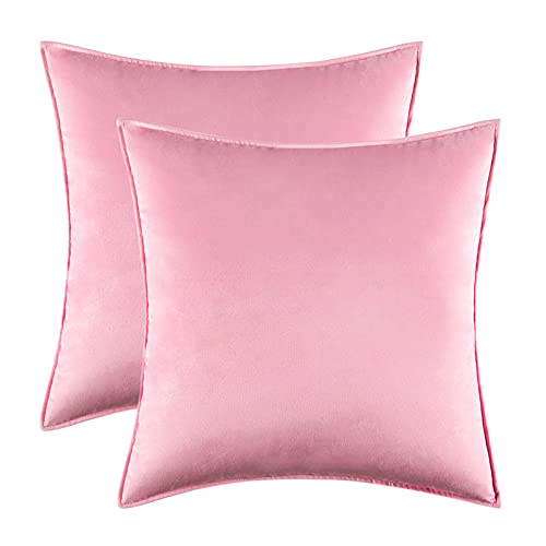 Home Decorative Edge Velvet Waist Pillow Cushion Covers 2PCS Super Soft Plush Hotel Sofa Pillow Covers 18"x18" Throw Pillow Covers